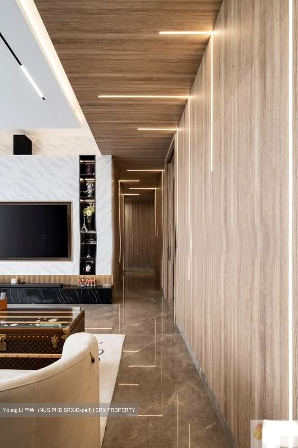 Nouvel 18 (D10), Condominium #571155661